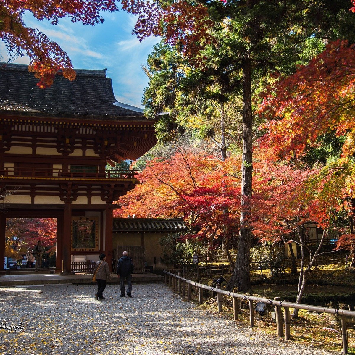 🏯 무로 사(무로지) 이미지 10